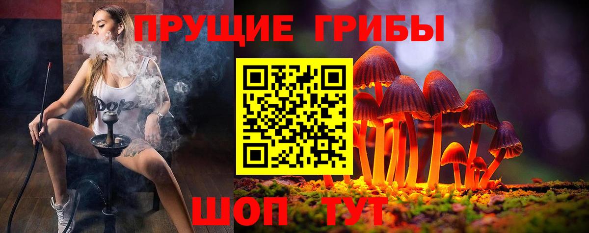 Галлюциногенные грибы Psilocybine cubensis Волгодонск