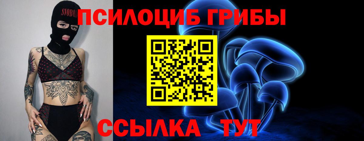 Волгодонск  Галлюциногенные грибы Psilocybine cubensis  Вход с VPN 